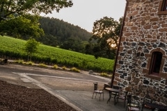 ehlersvineyard-July 13, 2015159